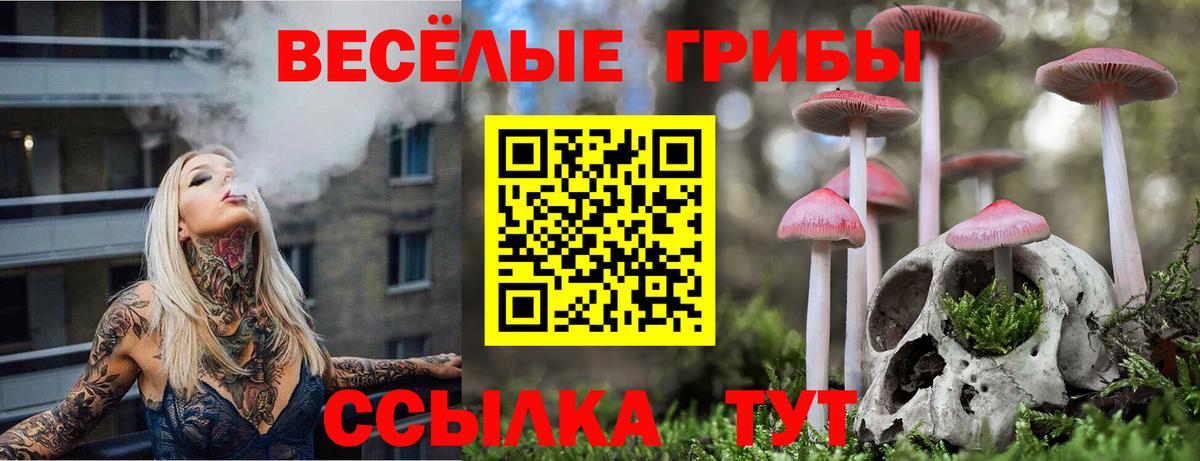 Псилоцибиновые грибы Cubensis Шелехов